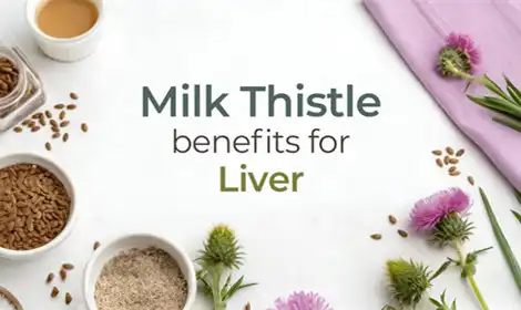 Milk Thistle Extract: Functional Properties in Liver Health Formulations